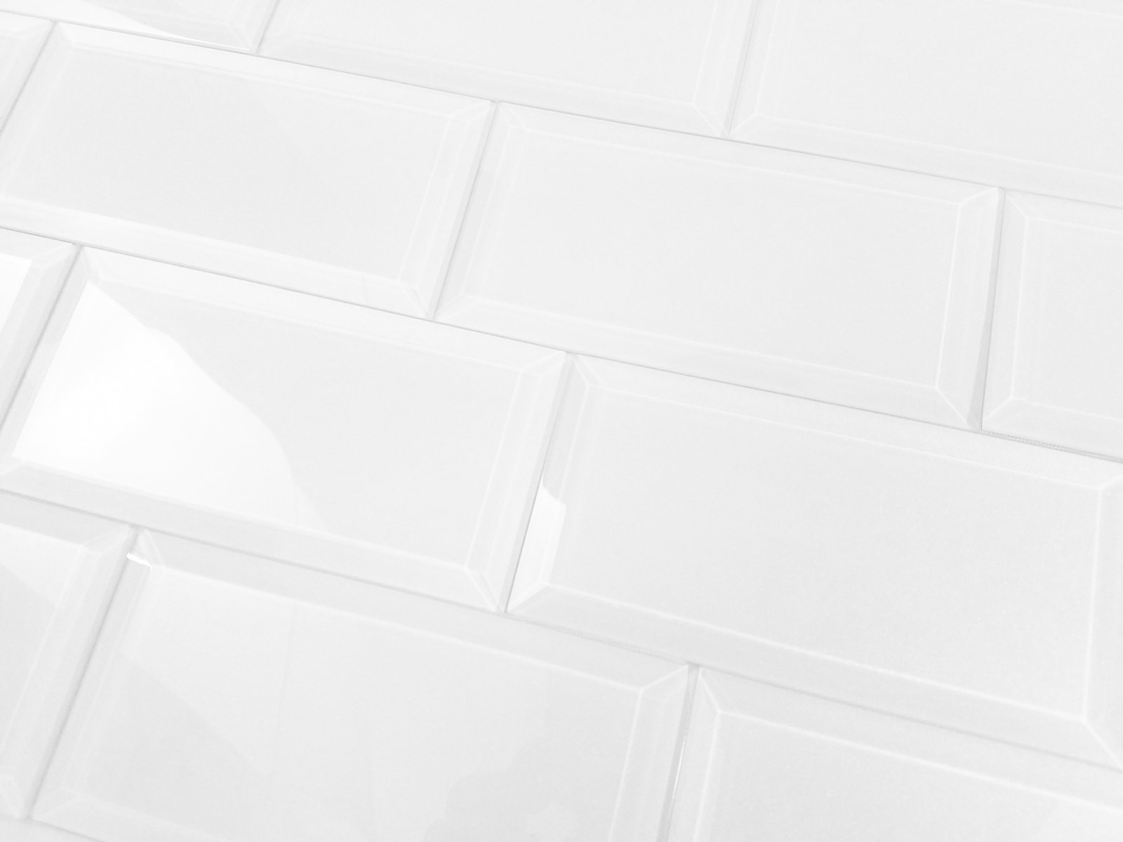 BGM1209_whsfeg0306-is_3 BGM1209_whsfeg0306-is_3