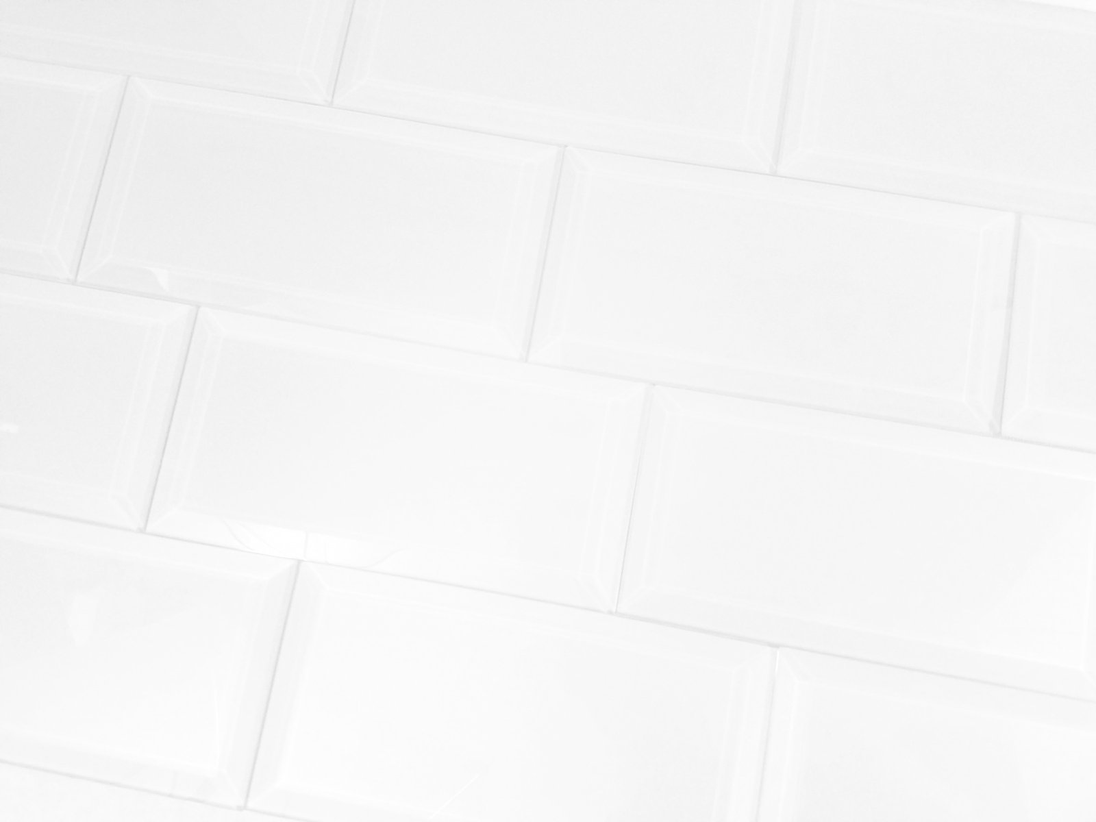 BGM1209_whsfeg0306-is_5 BGM1209_whsfeg0306-is_5